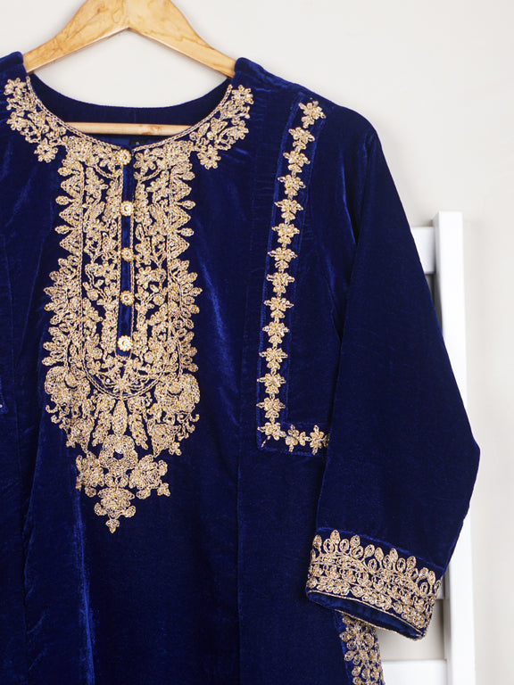 Blue Velvet Embroidered 2 pc - 54639