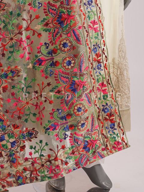 Skin Multi Dupatta - 54400